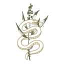 AUSCFM logo