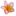 Carnoustie Ayurveda and Wellness Resort logo
