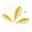 Daye logo