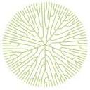 The Hundred Wellness Centre logo